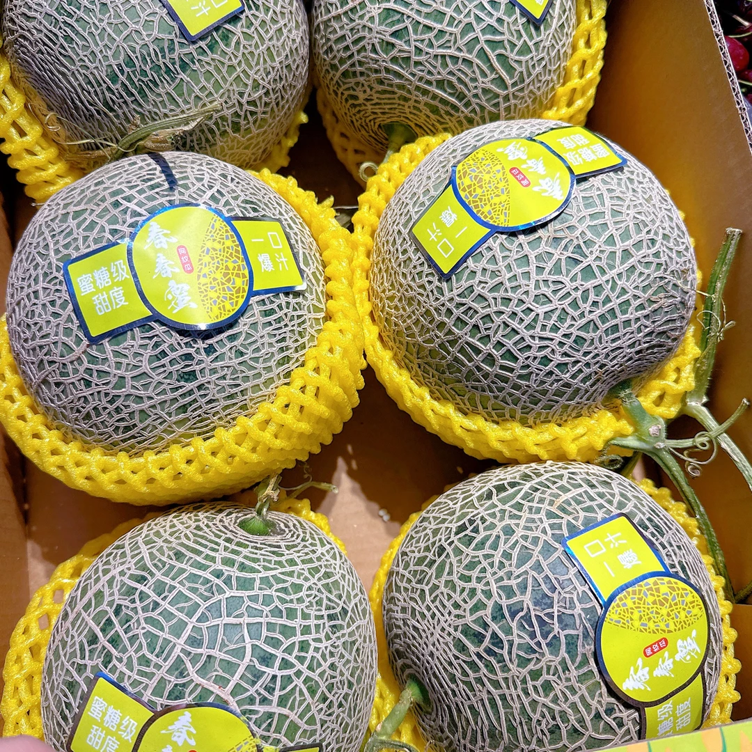 春春蜜甜瓜 25一个2.5斤左右软甜口四川省