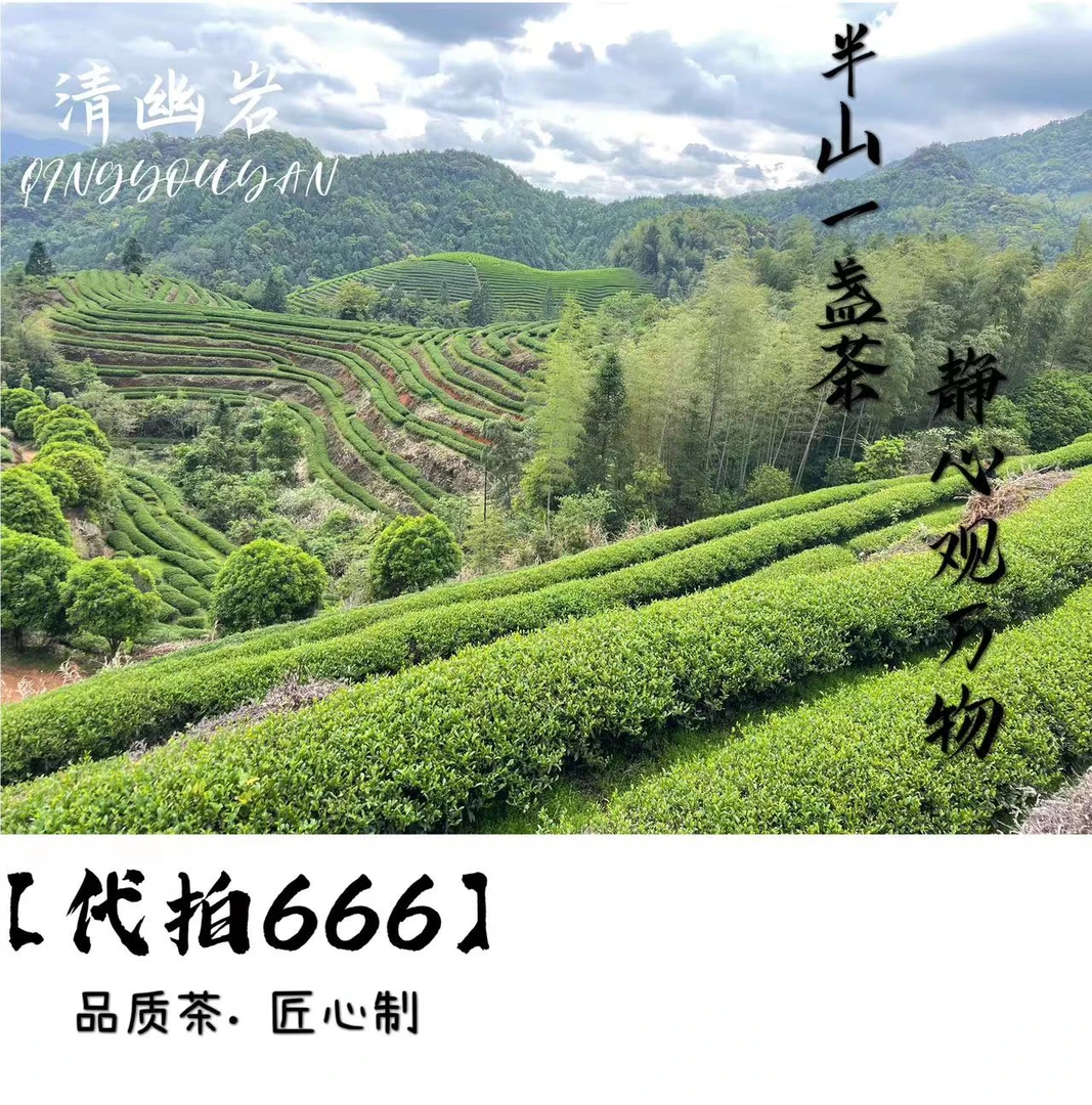 【代拍666】武夷岩茶代拍组合链接