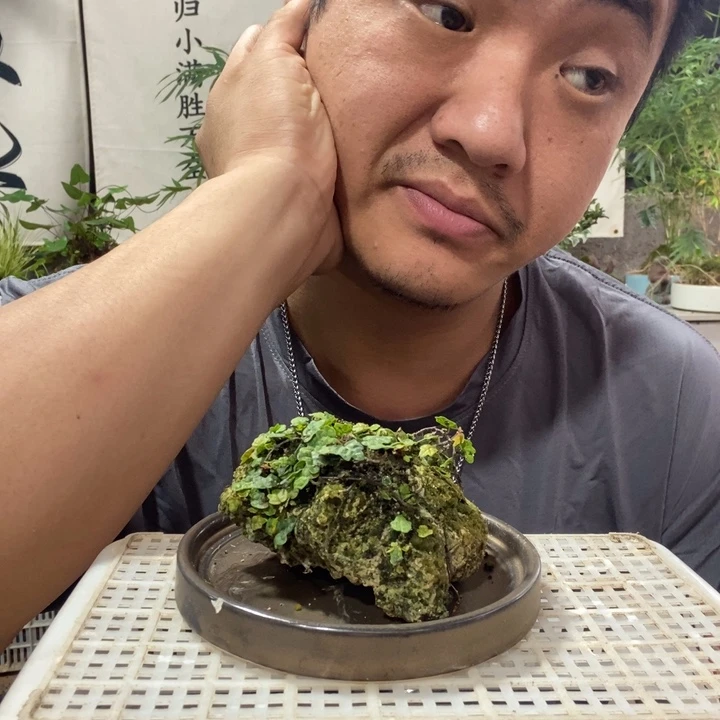 赵***姐无花朵退款拉黑拉黑65