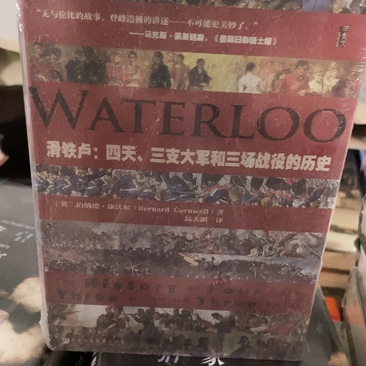 滑铁卢：微瑕图书系列