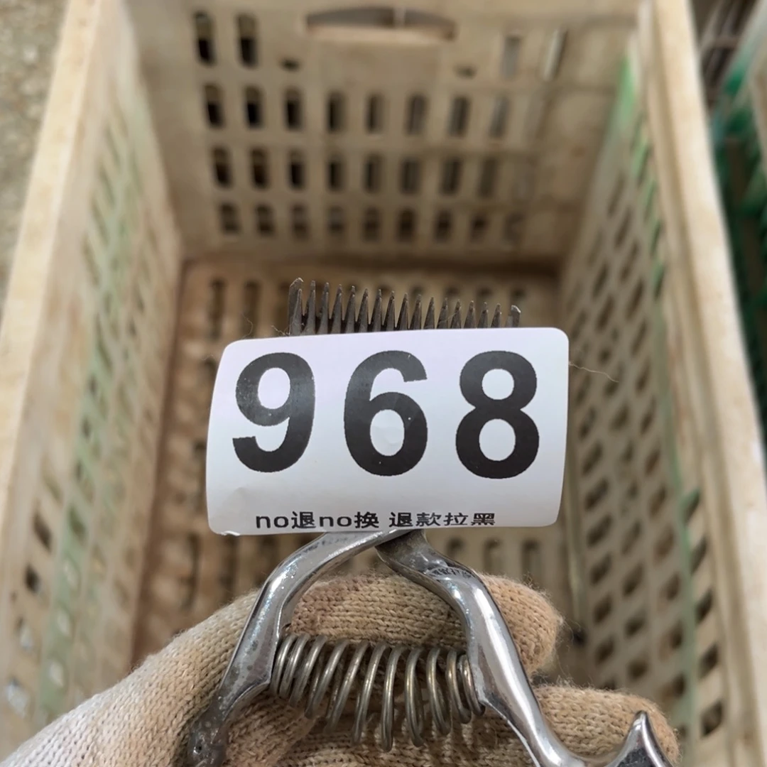 用***漠一物一图，工艺品。