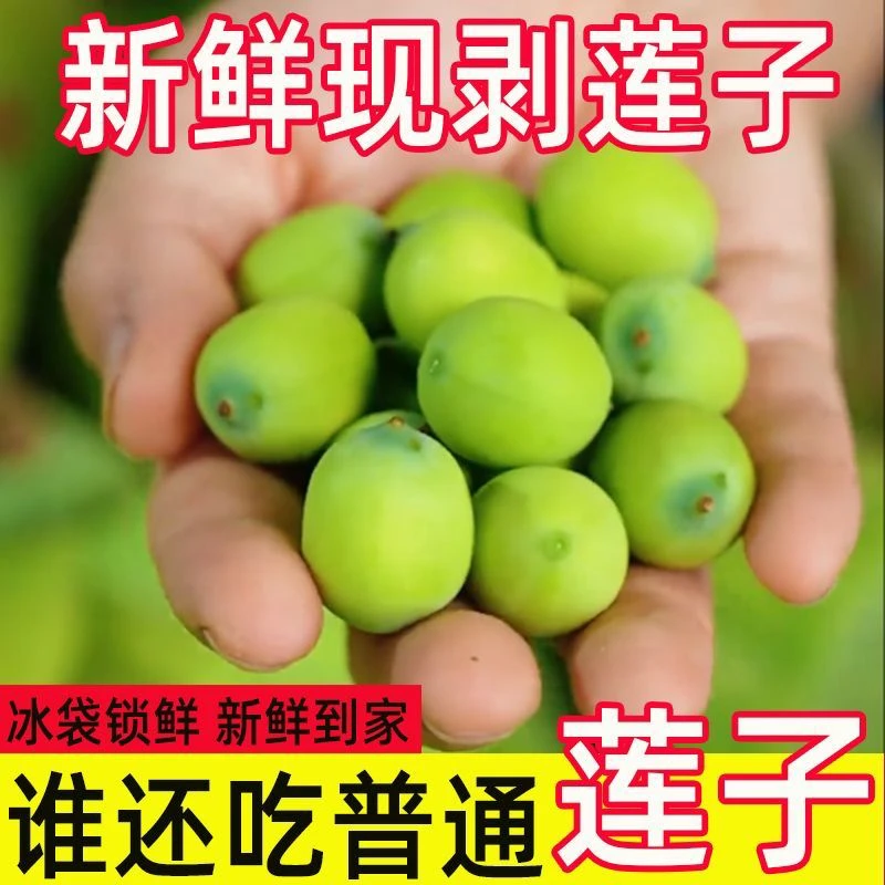 水果莲蓬嫩甜即食新鲜莲蓬现摘莲子米可生吃当应季水果非湖南湘莲