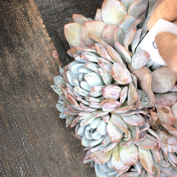 暄97////////////////////