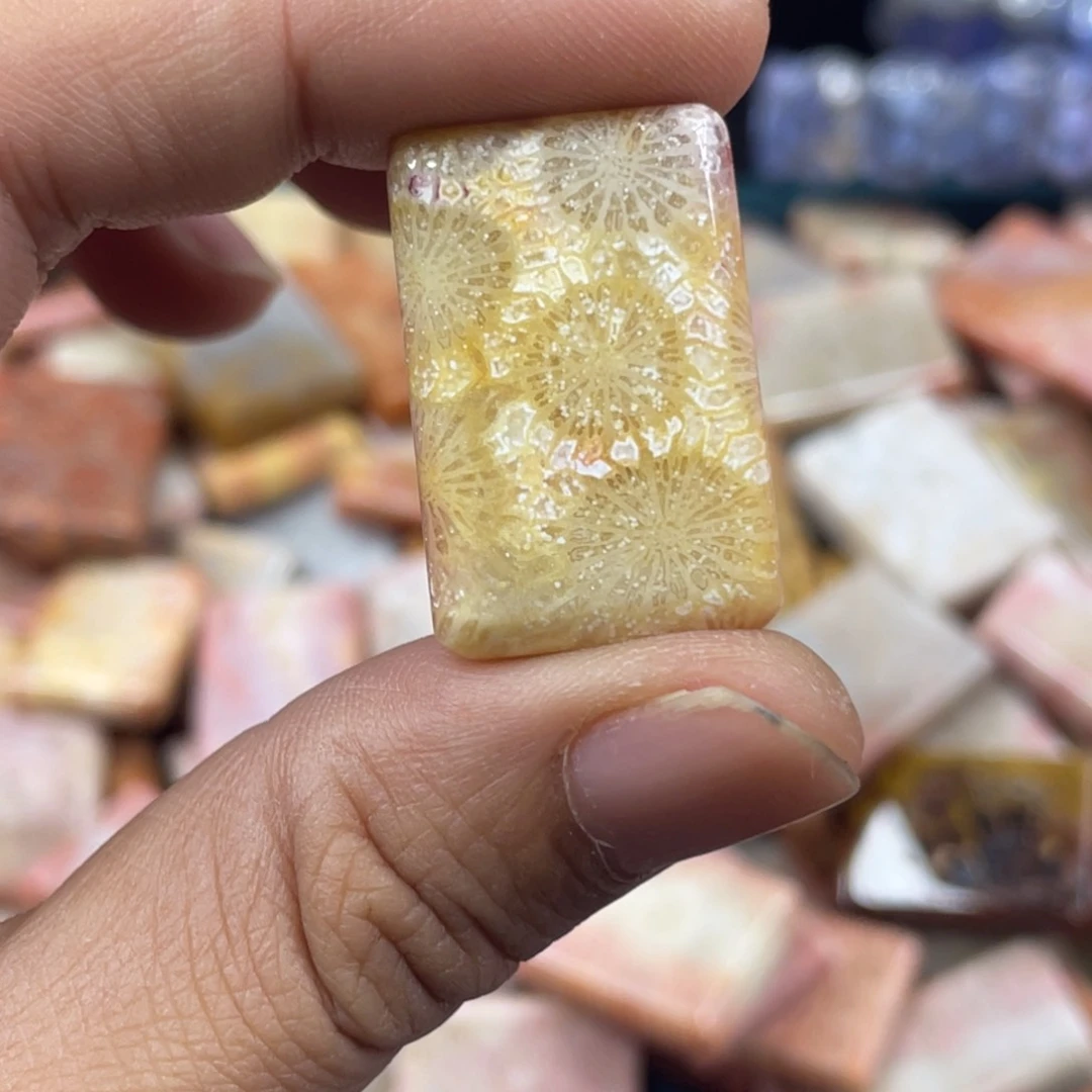 未镶嵌手镯硅化玉