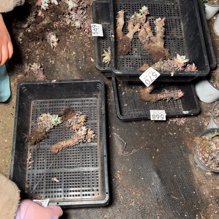 571哈哈哈哈哈哈哈