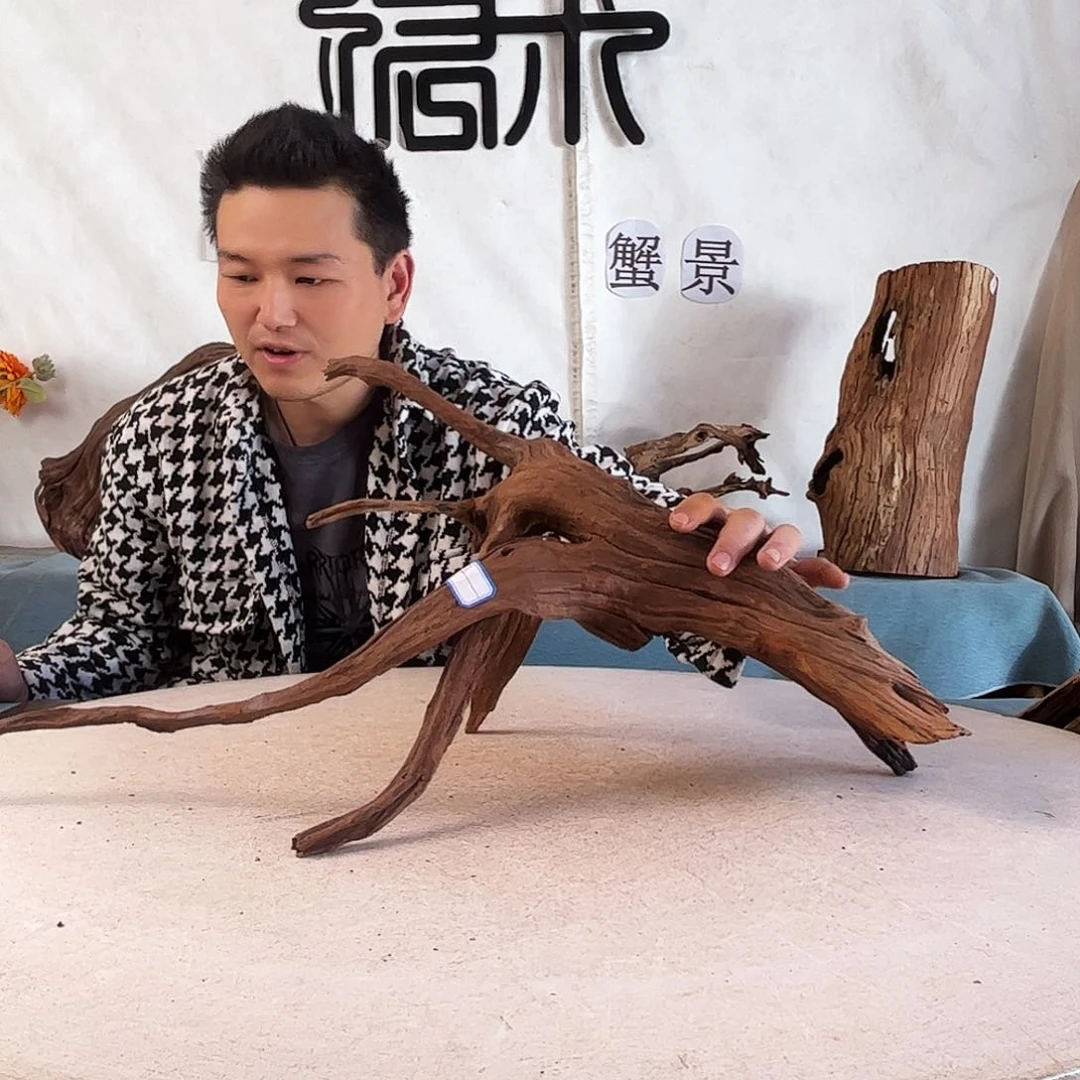 為****乖沉木造景爬宠造景