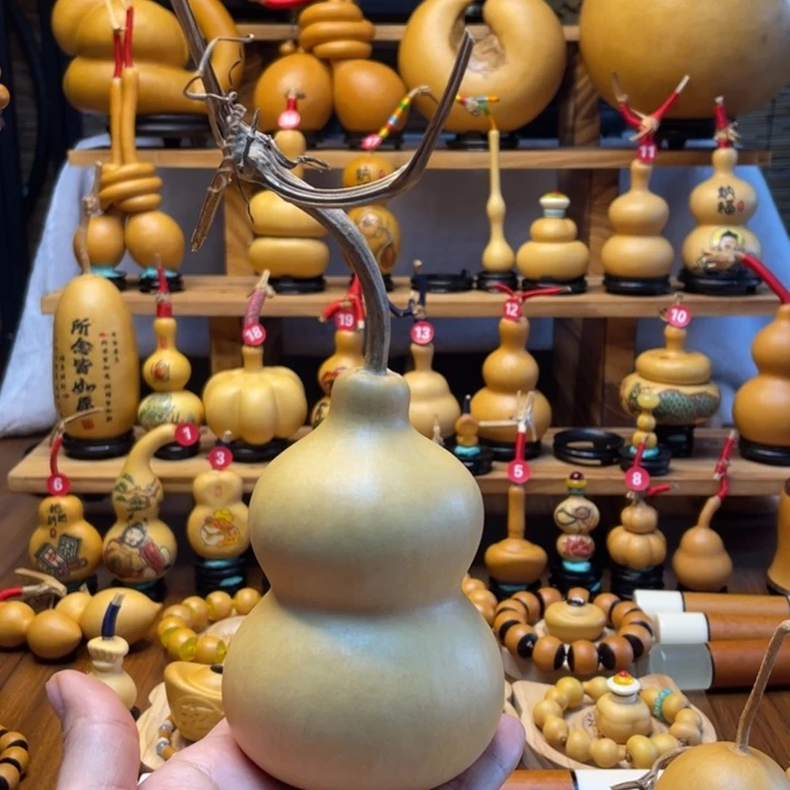 仙*天然葫芦自然生长仙草