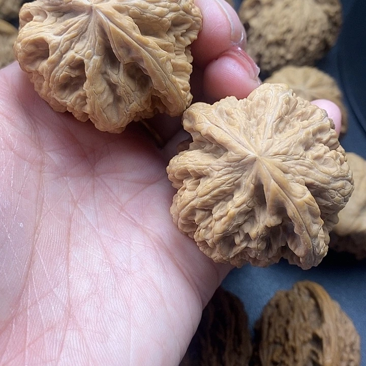 未***卜龙脊菩提吊坠粗筋48