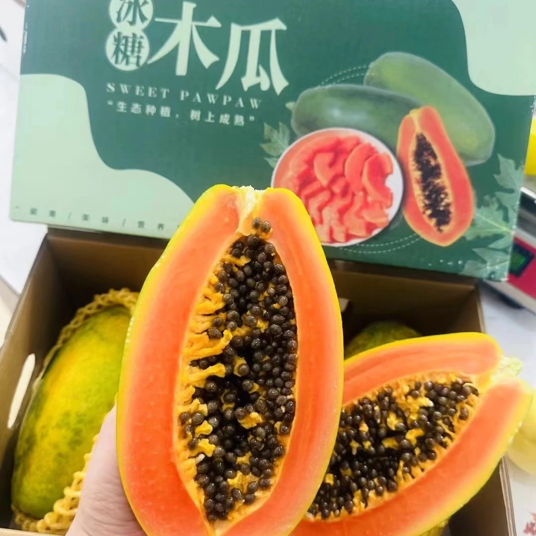 冰糖木瓜水果 嘎嘎好吃 甜海南省