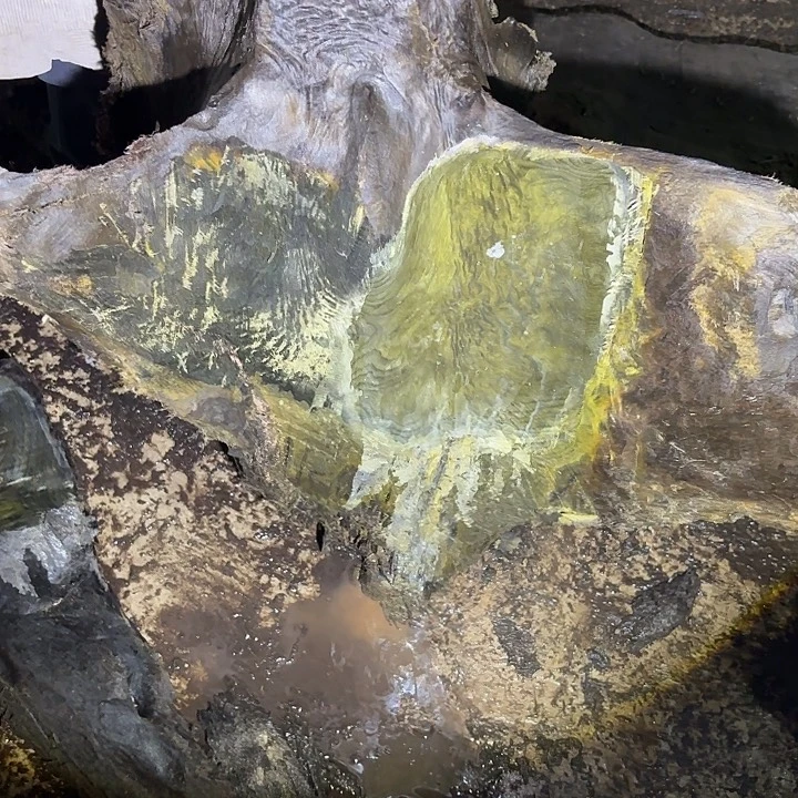 天***5金丝楠金丝楠阴沉木