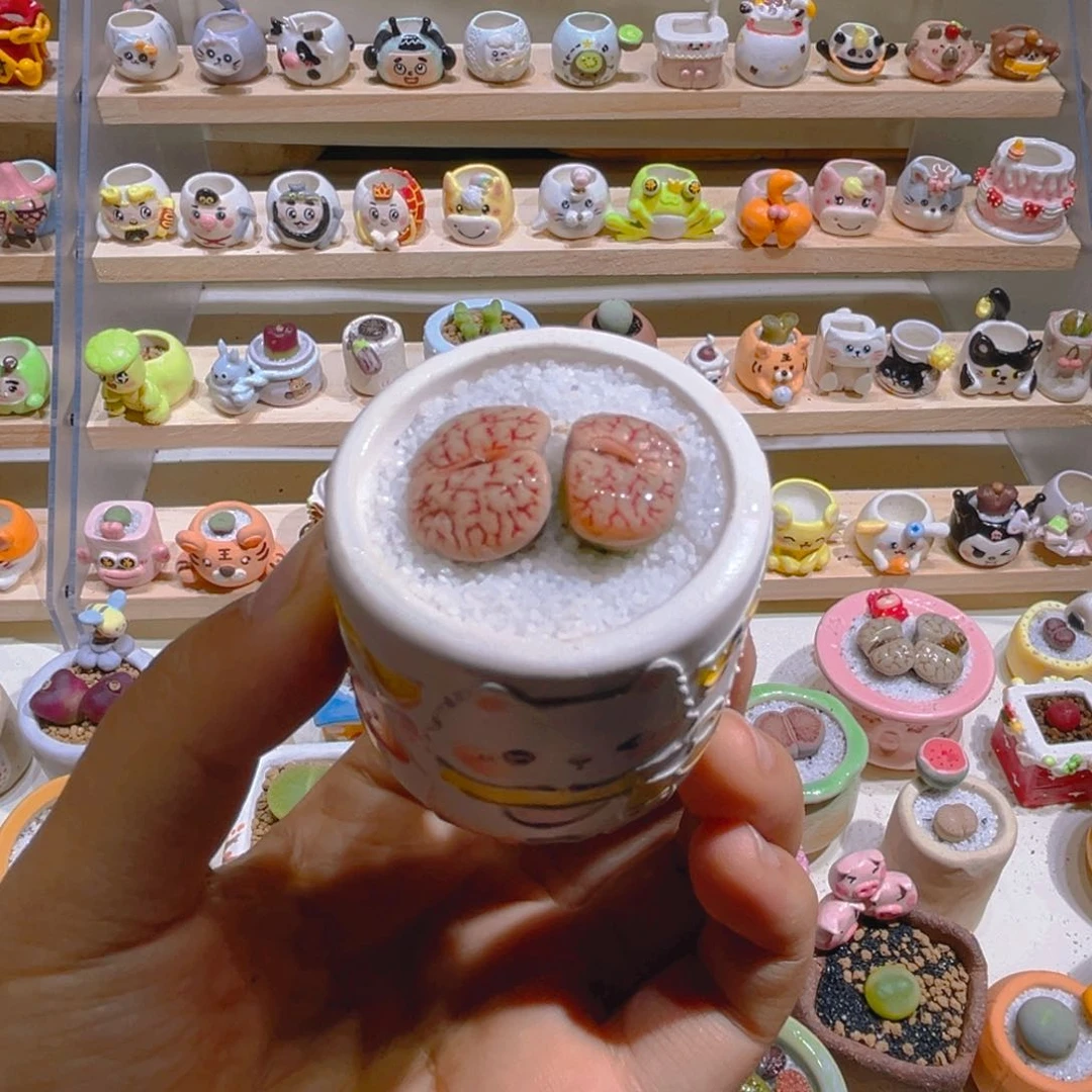 043高端多肉带盆土一套58