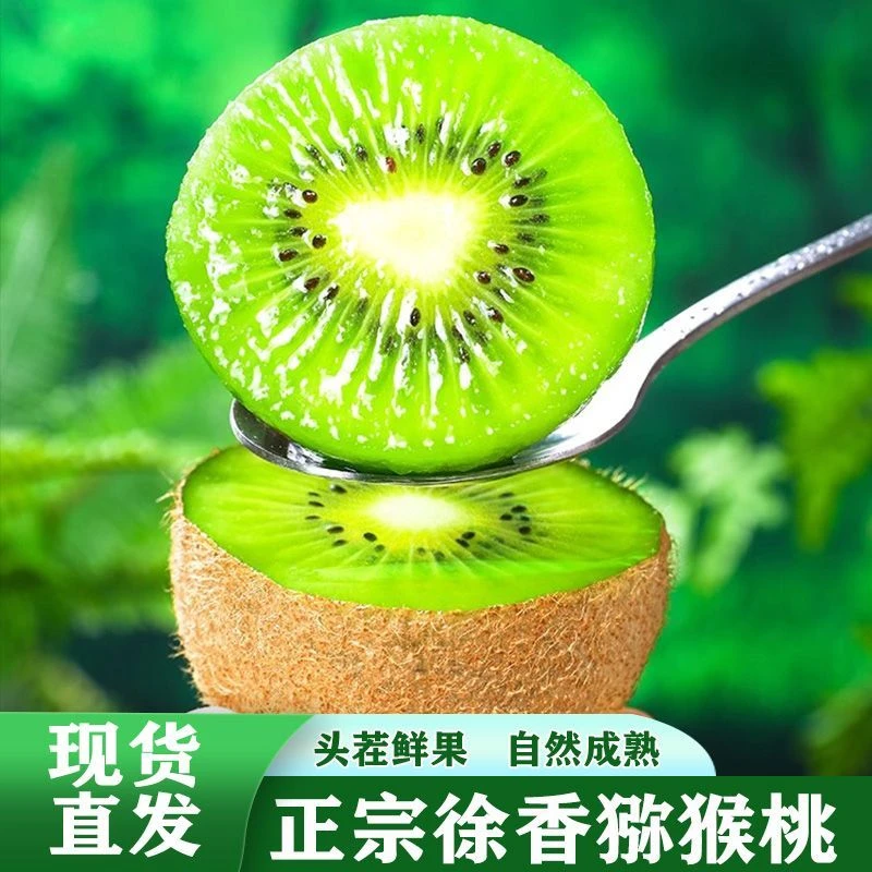 陕西徐香猕猴桃当季新鲜水果现摘香甜多汁包邮