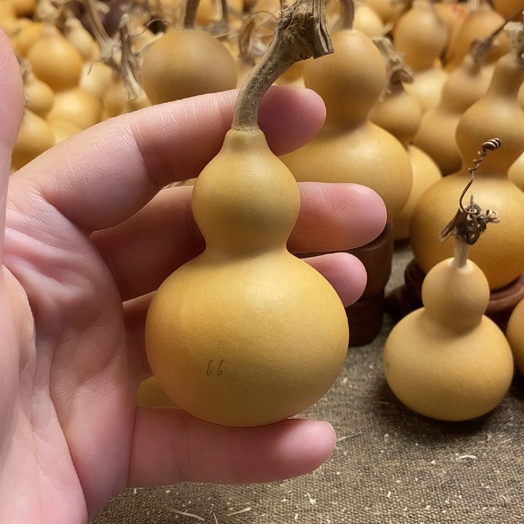 文玩葫芦 完美主义者 慎拍66