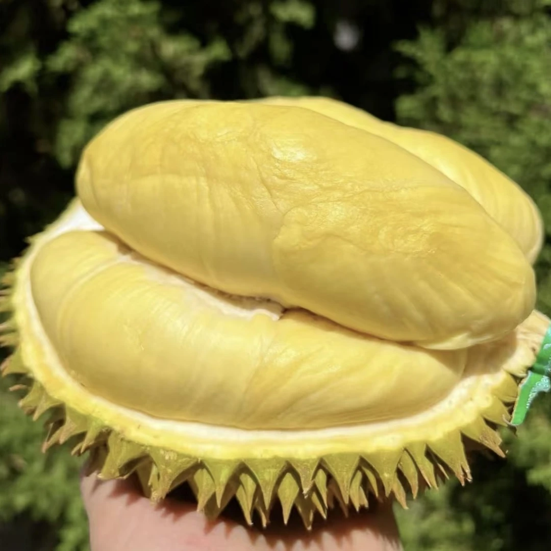 瑕疵金枕榴莲原件批发4颗15-17斤榴莲398元肉新鲜现开核小肉厚金枕泰国