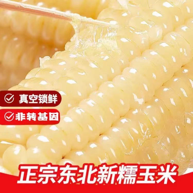 东北白甜糯玉米新鲜软香甜糯粘玉米棒早餐真空包装苞米棒东北玉米