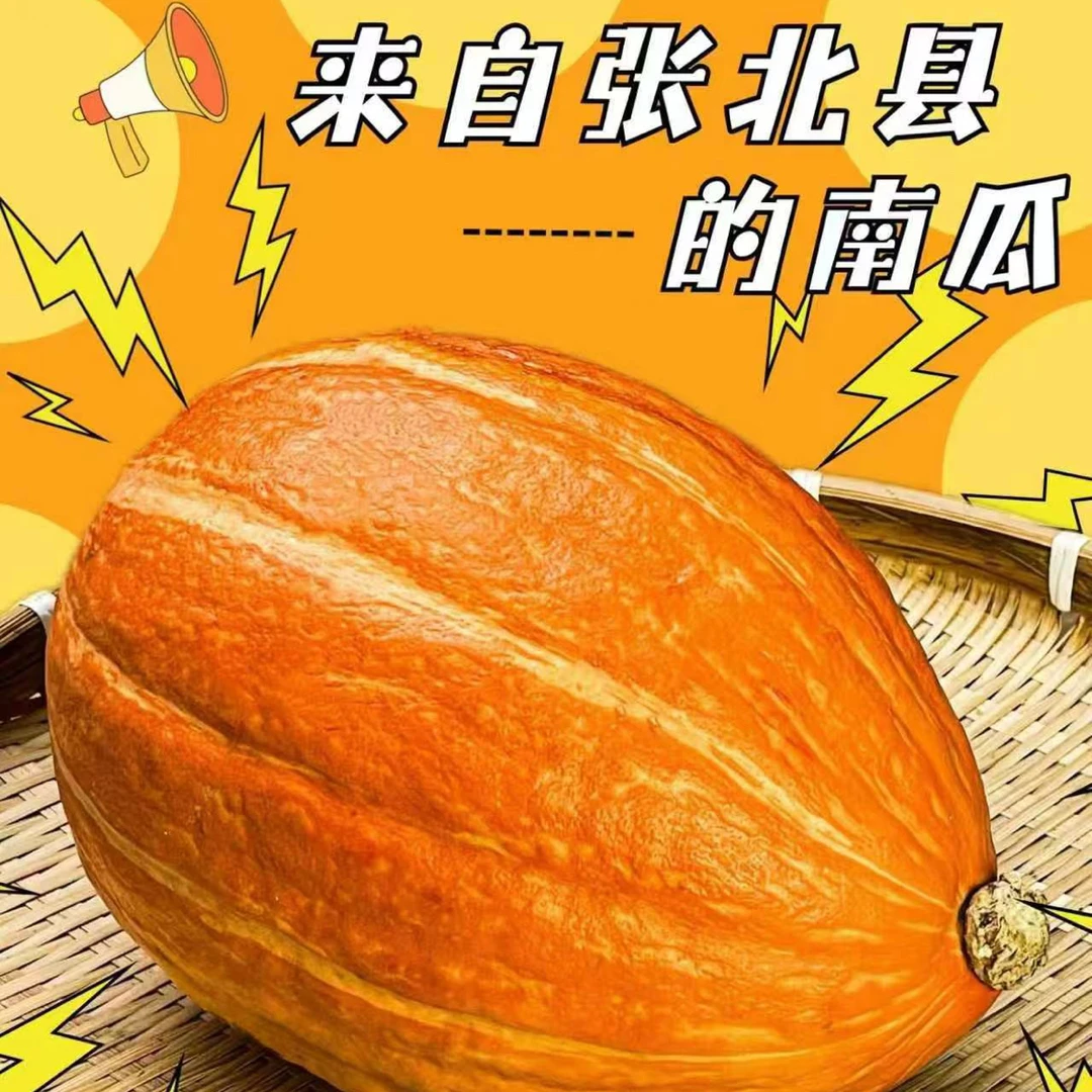 来自张北县的南瓜蟹栗黄南瓜新品上市尝鲜款金贝贝又称长寿果