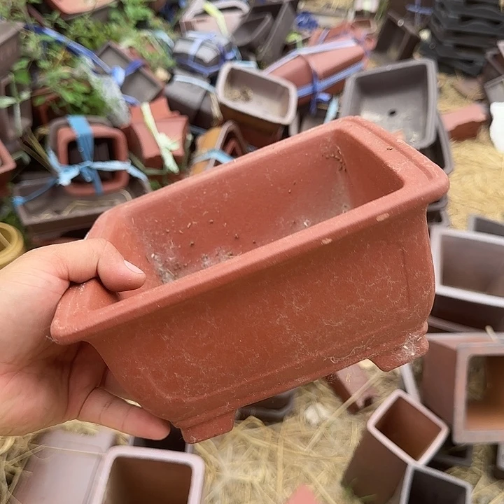 这一期太有意思咯嘛啊