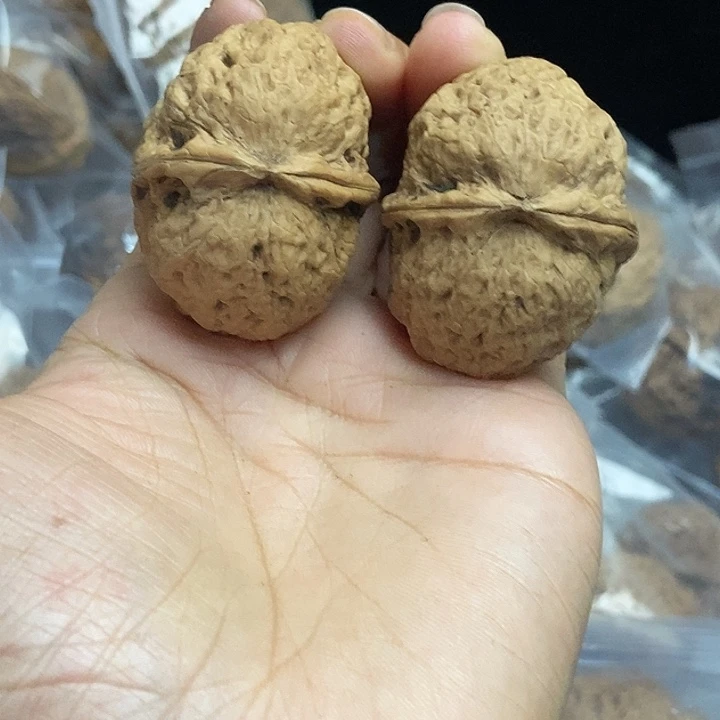 木质类云南铁核桃+50