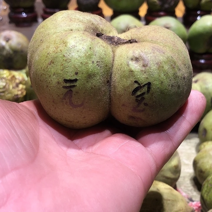 吊坠桃核核桃核桃