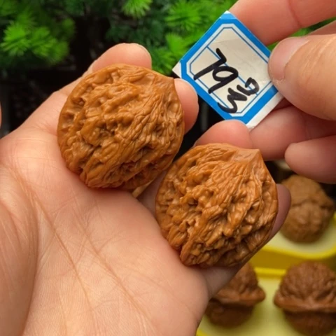 文玩核桃吊坠麦虎36