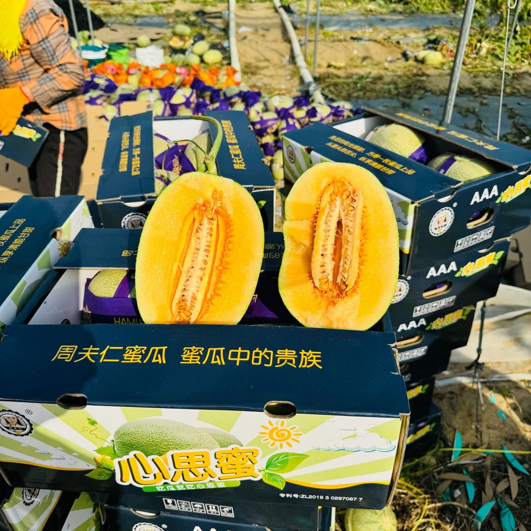 海南脆甜心思蜜2个装（单果2.7斤-3.2斤）