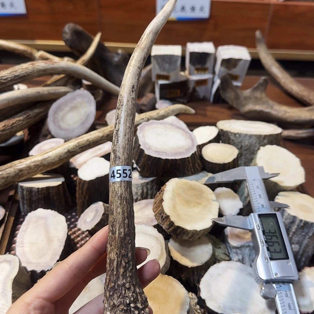 鹿骨手串/手链4552独角