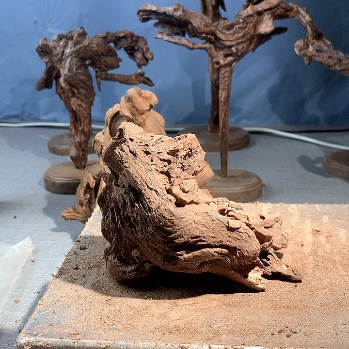 黄花梨/降香黄檀蔡**艺