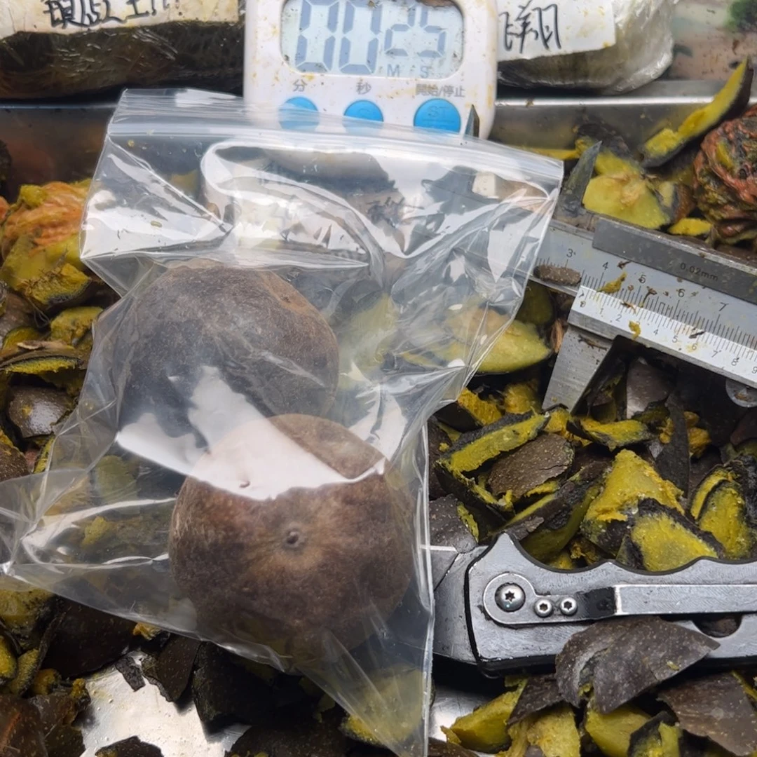 斜****把m没木牛流马美女妈妈家