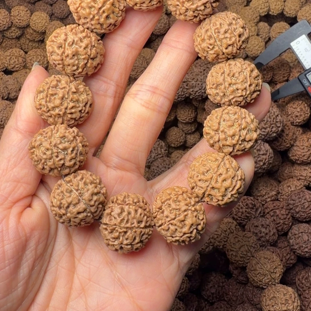 手串金刚菩提8瓣卡19尺，100号