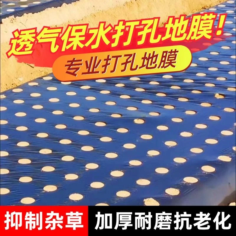开孔膜农用种植黑地膜银黑反光膜除草保温免打孔地膜地膜农用薄膜
