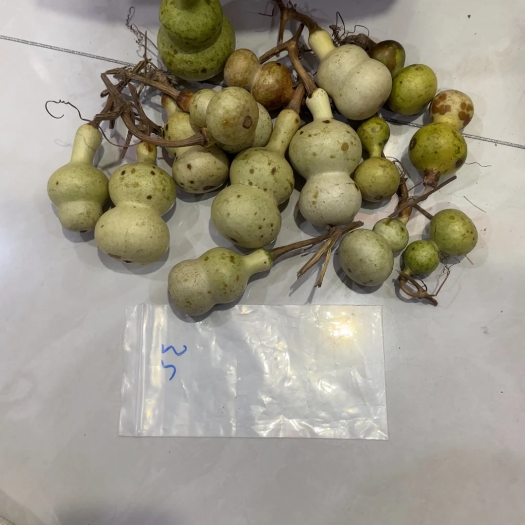 郁***贝青皮不包成青皮不包成