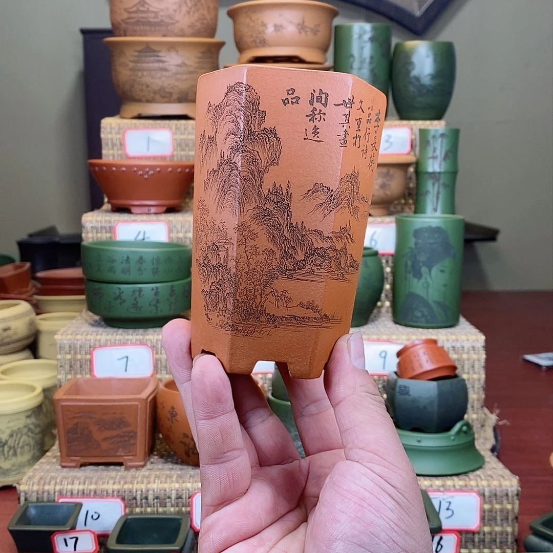 紫砂花盆我在等他