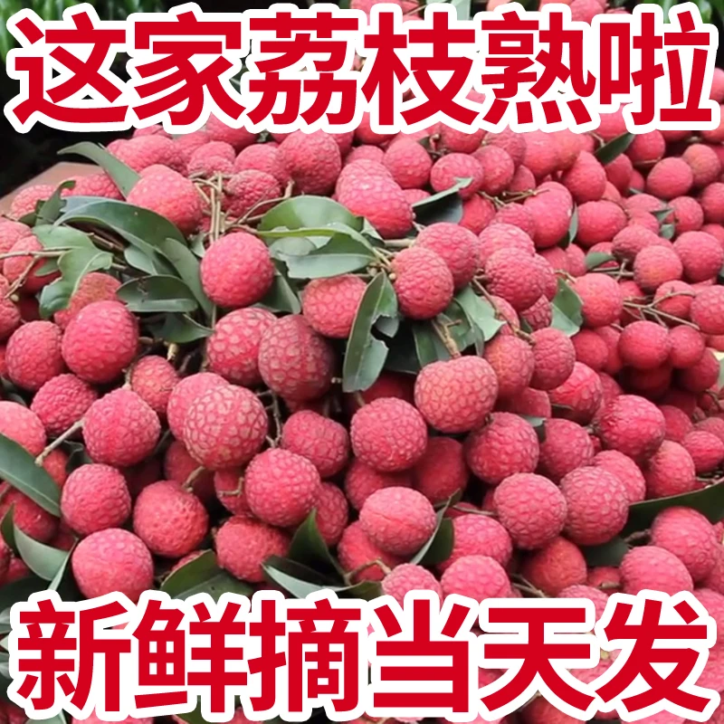 【清甜多汁】新鲜老树荔枝黑叶现摘发整箱包邮非妃子笑时令水果5