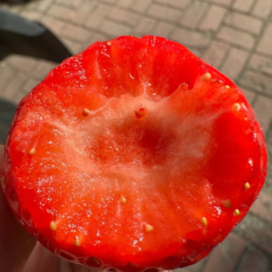 【顺丰】丹东99牛奶草莓 无空心 毛重约4斤 个头大 甜度好红颜奶油草莓中国大陆