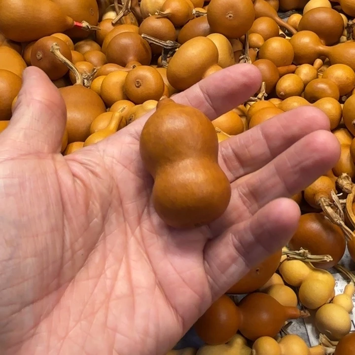 冰**憶冰封子义的一把紫皮葫芦葫芦