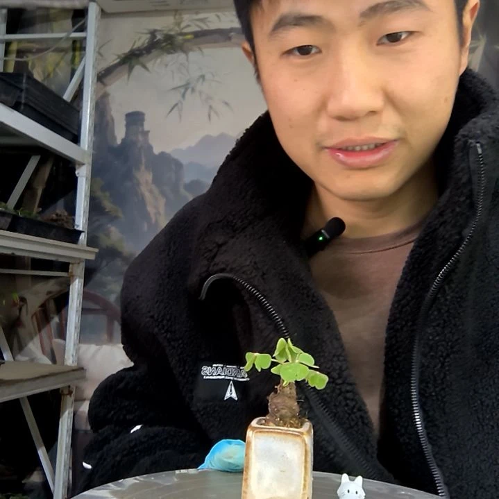 雨***酱中青园艺一物一拍花186