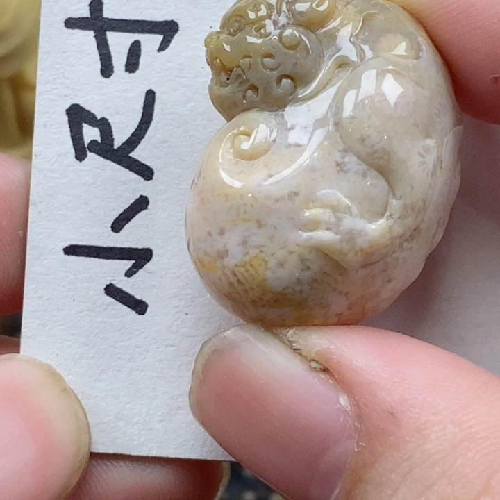 颈饰未镶嵌硅化珊瑚（珊瑚玉）