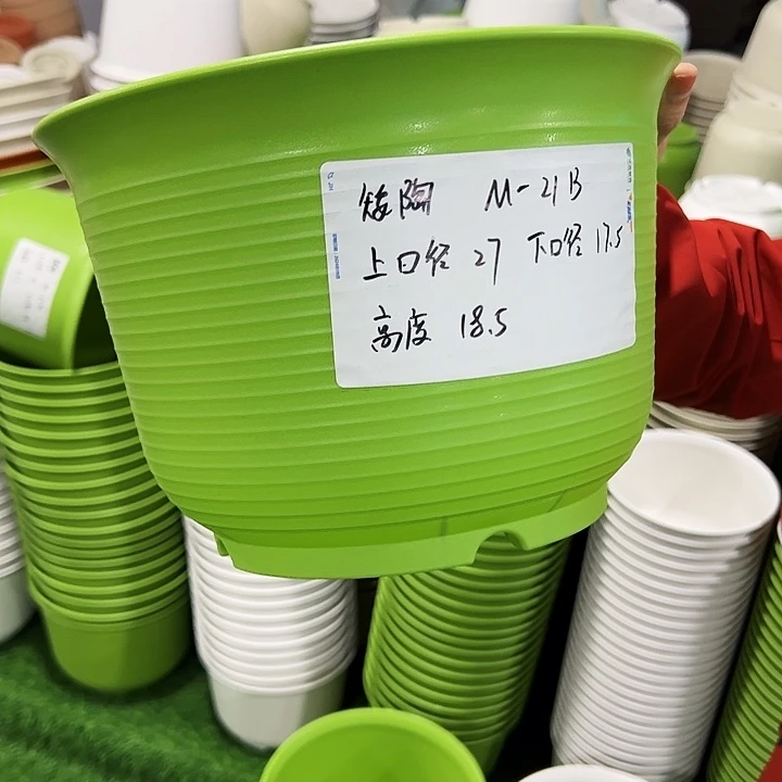 正品矮陶口27高18.5果绿无托6只