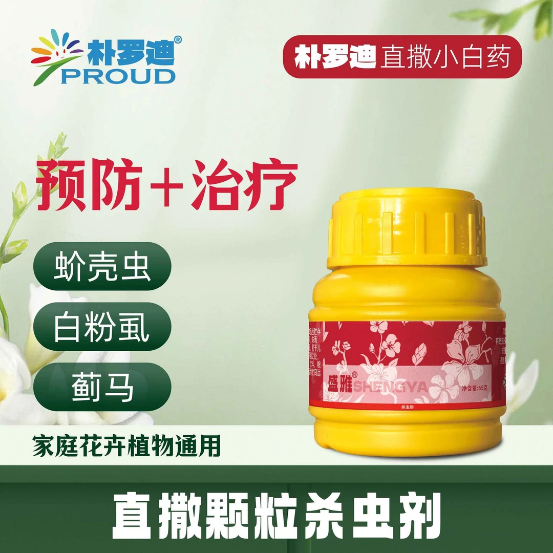 朴罗迪盛雅呋虫胺杀虫小白药杀虫剂蓟马白粉虱小黑飞月季兰花多肉