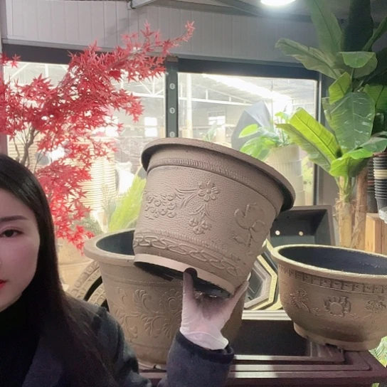 复合盆景制作方法就是