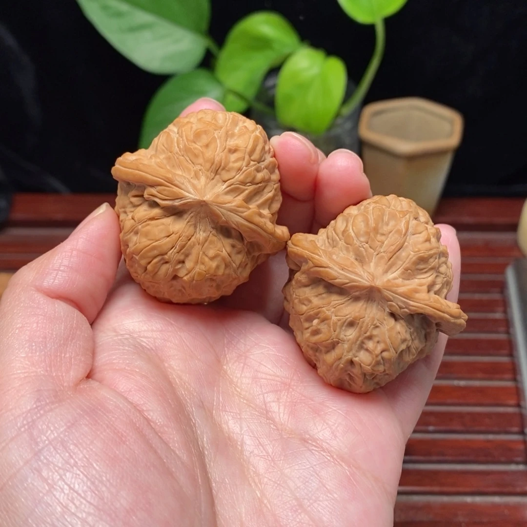 核桃41全品南瓜墩