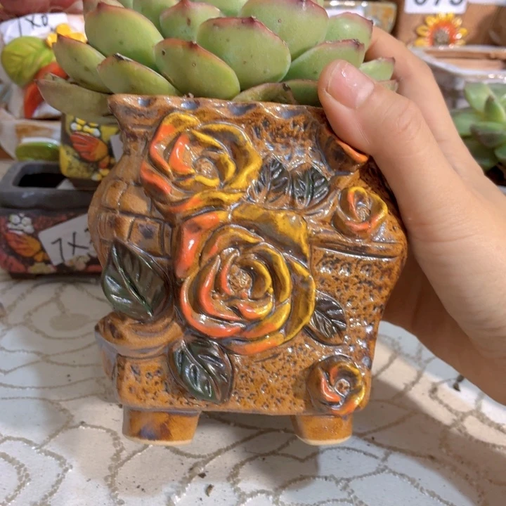 多肉花盆15包邮爱退款拉黑