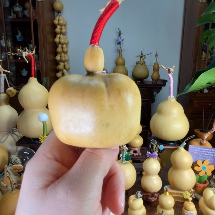 厚皮满籽方方钱袋子葫芦