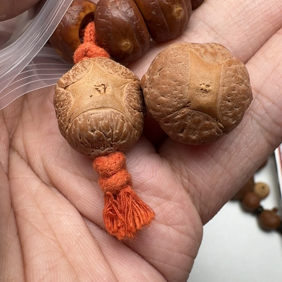 核***下吊坠凤眼菩提凤眼菩提