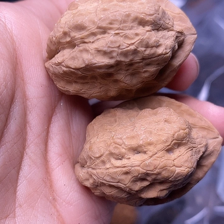 文玩核桃把件   205