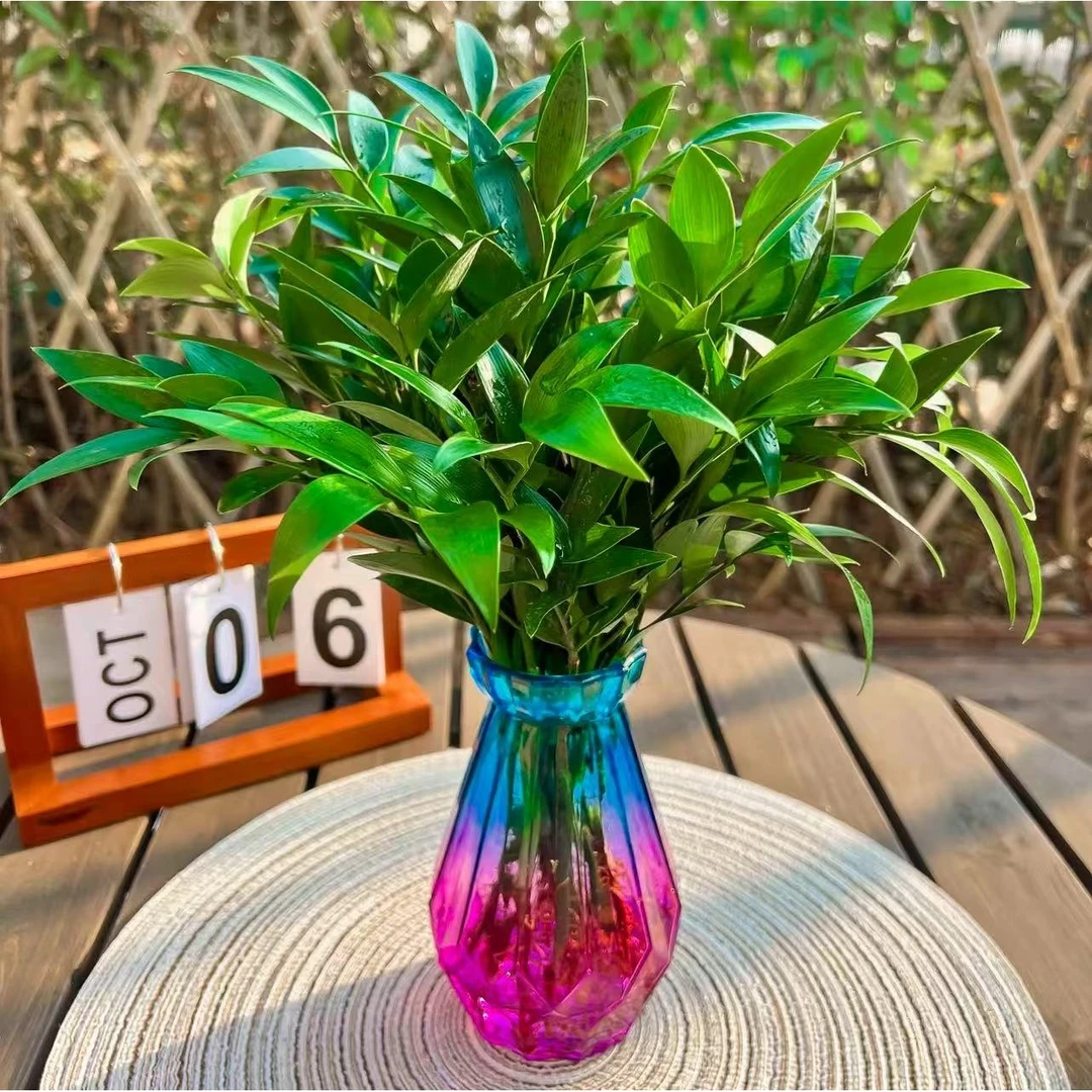 竹柏盆栽水培新宠室内桌面净化空气四季常青驱蚊绿植