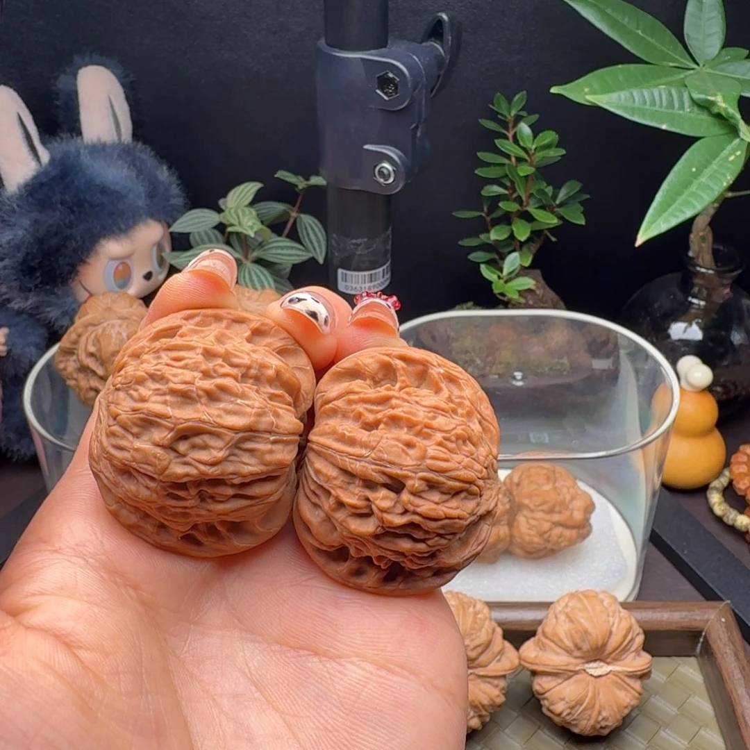 龙脊菩提把件全品山地磨40