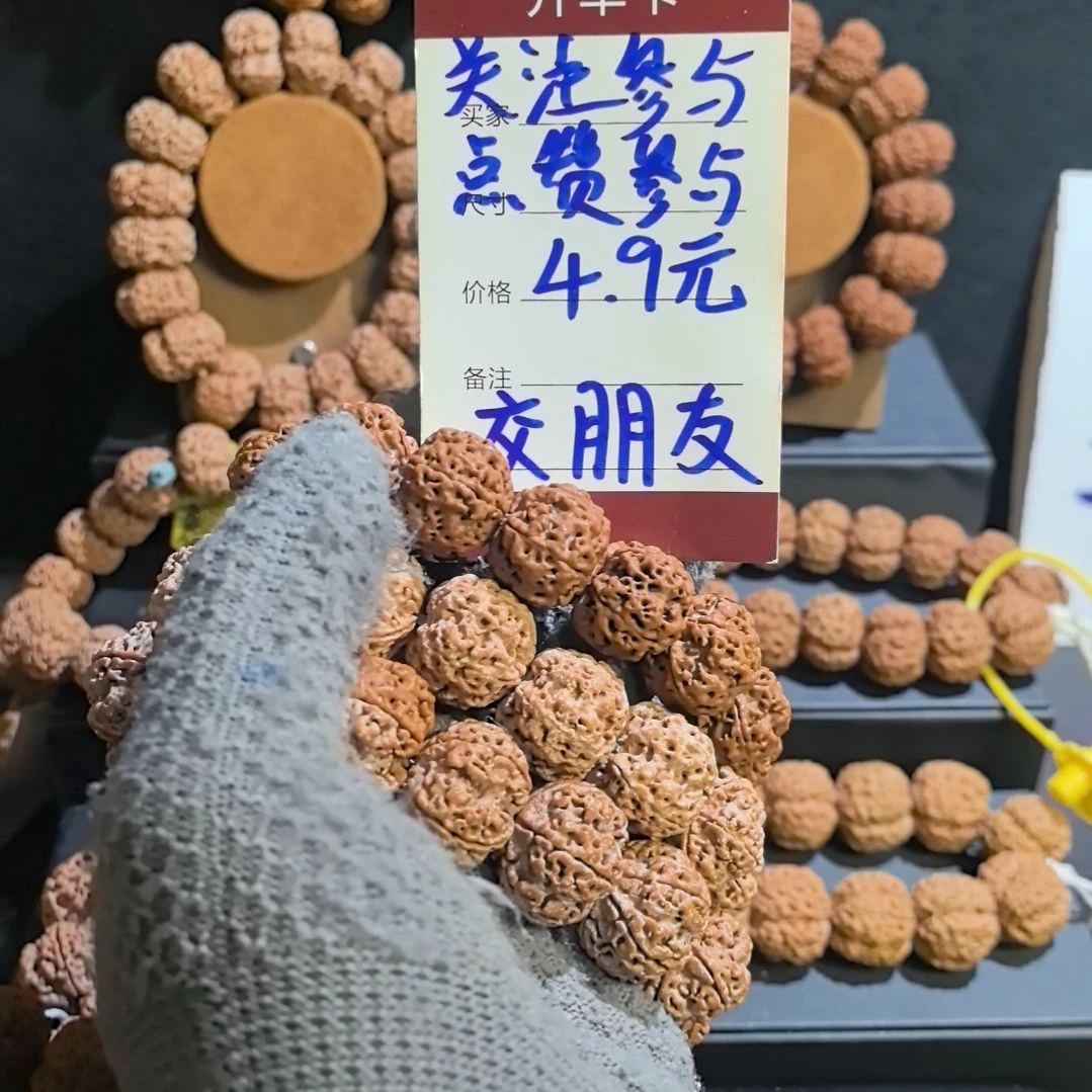 吊坠金刚菩提金刚菩提原皮原色