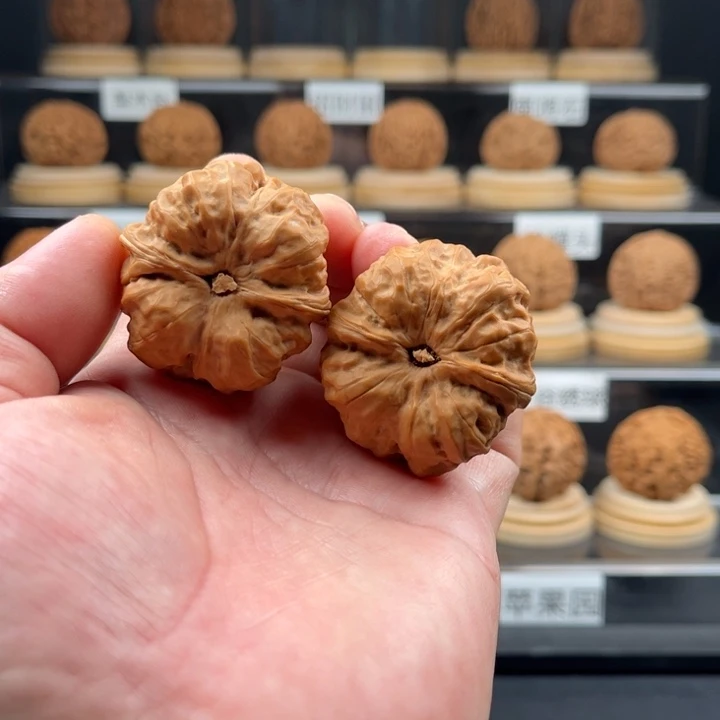 丑***怪麻核桃蛤蟆头39尺寸