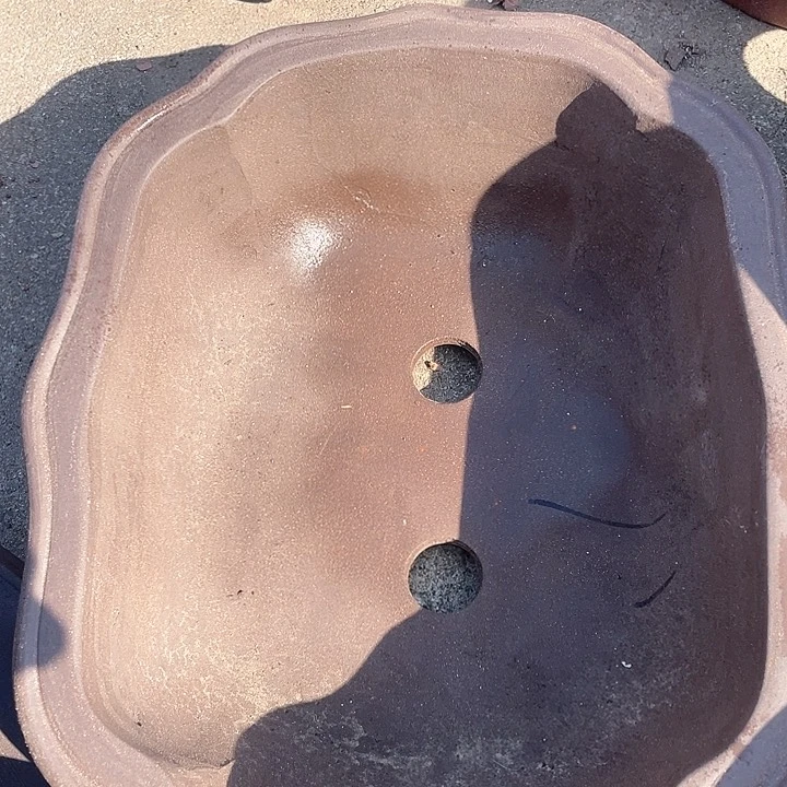 紫砂31莲花花盆哈哈